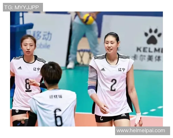 南京排球队总决赛个人能力全面解析与表现评估 南京排球队总决赛个人能力全面解析与表现评估