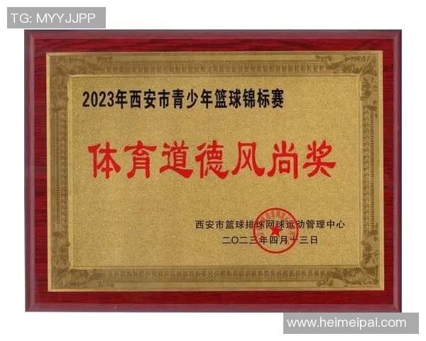 西安篮球队在锦标赛中的个人能力分析与表现评估