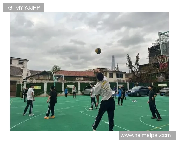 上海排球队技术创新引领排球新高度全新排名引发关注与期待