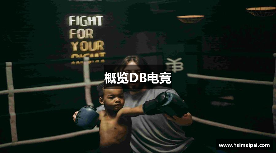 概览DB电竞
